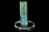 Bi-Colored Aquamarine Crystal - Transbaikalia, Russia #175645-1